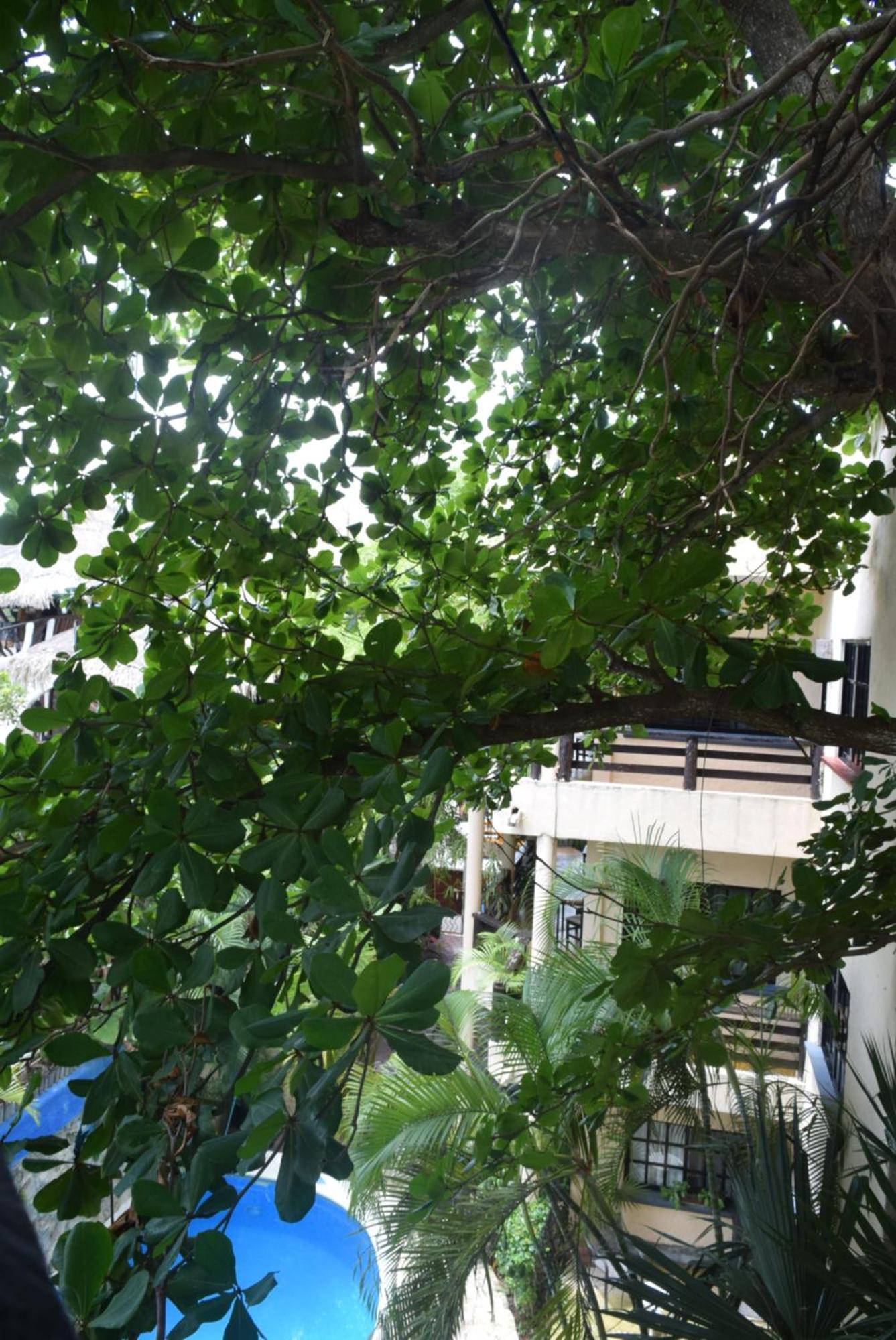 Hotel Casa El Moro Puerto Morelos Zewnętrze zdjęcie